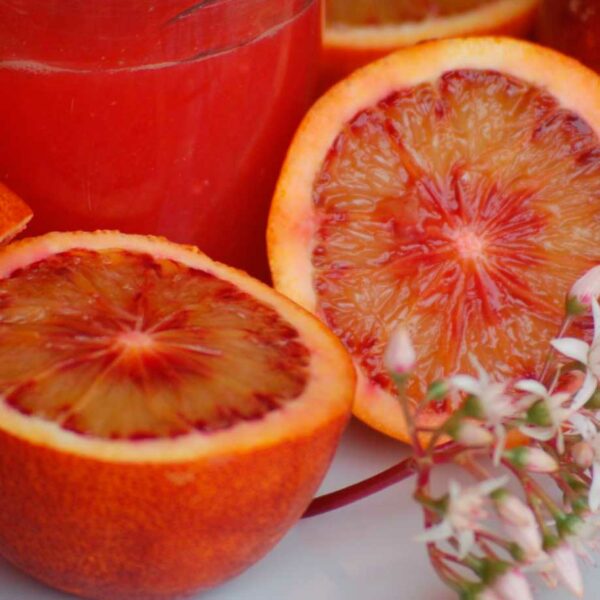 naranja de sangre o sanguna