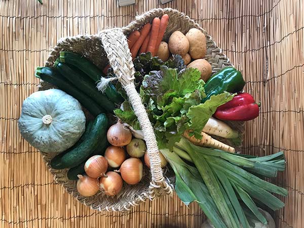 Cambiable Hervir escarcha Comprar Cesta de Verduras Ecológicas - Verduras de Temporada con Sabor
