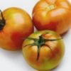 Comprar tomates ecologicos