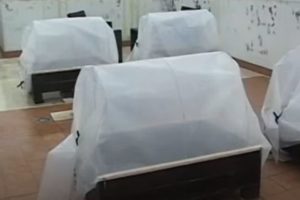 Cómo proteger las plantas de tu huerto en invierno