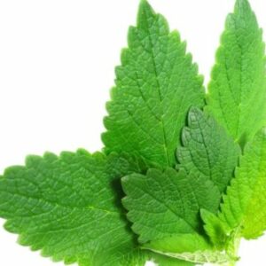 INFUSIONES Y AROMÁTICAS ECO