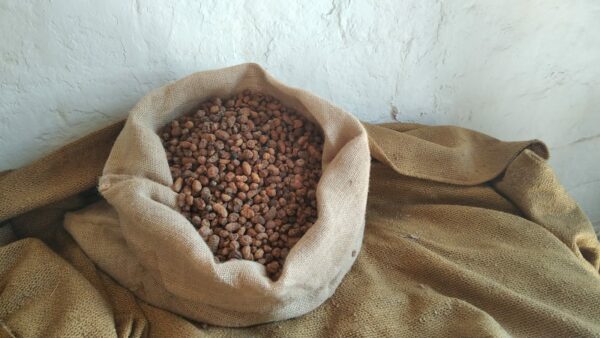 CHUFA DE VALENCIA 5KG