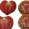 Tomate Valenciano Eco - Imagen 3