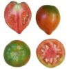 Tomate Valenciano Eco - Imagen 4