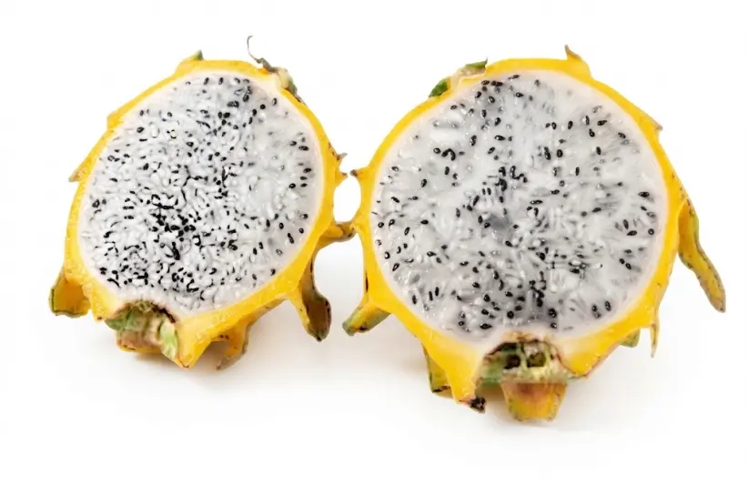 Pitahaya blaca/amarilla Eco 1 pitahaya blanca bio